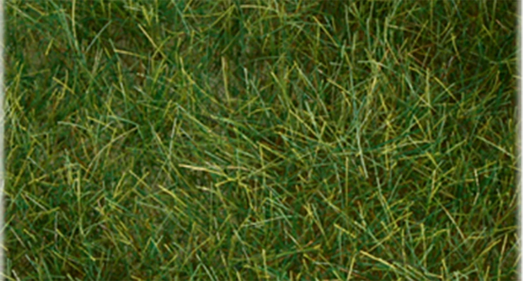 Bachmann Pull-Apart 6mm Static Grass - Dark Green (one 11" X 5.5" Sheet) 1 Bachmann Pull-Apart 6mm Static Grass - Dark Green (one 11" X 5.5" Sheet)