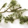 Bachmann Wire Foliage Branches - Medium Green