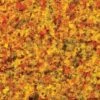 Bachmann Turf Blend Early Fall - Medium