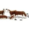 Woodland Scenics No.2767 Hereford Cows O